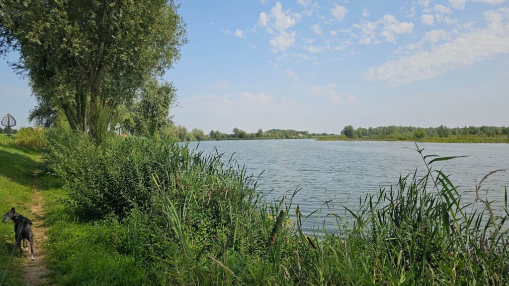 Boterham