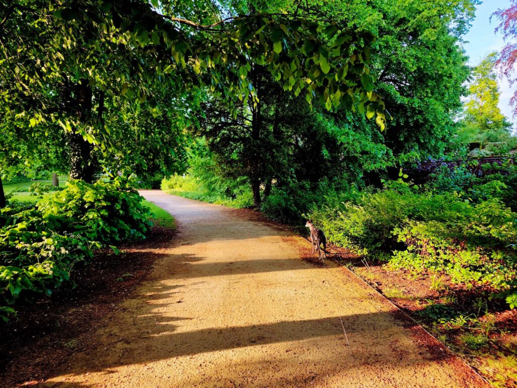 Route